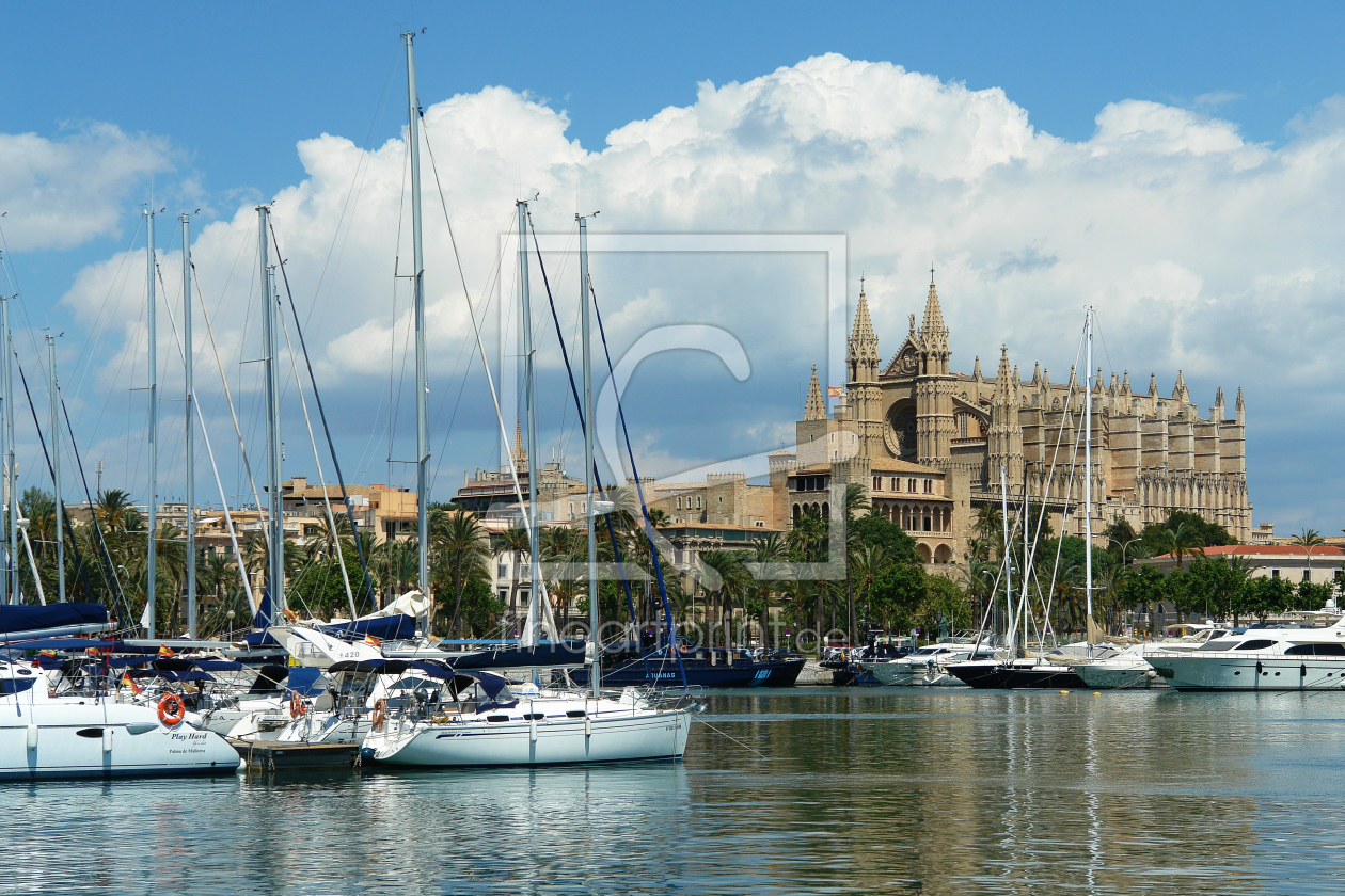 Bild-Nr.: 10005915 Palma de Mallorca, Yachthafen und Kathedrale erstellt von Frank Rother