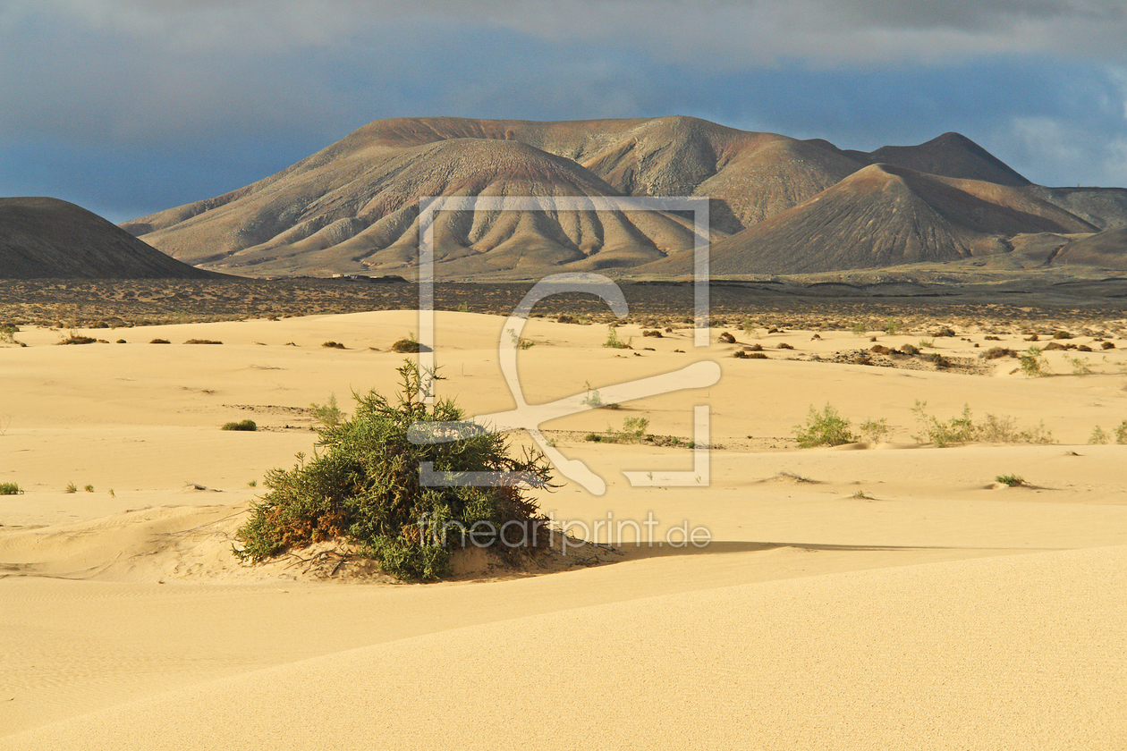 Bild-Nr.: 10013027 Dünenlandschaft mit Vulkanbergen auf Fuerteventura erstellt von Frank Rother