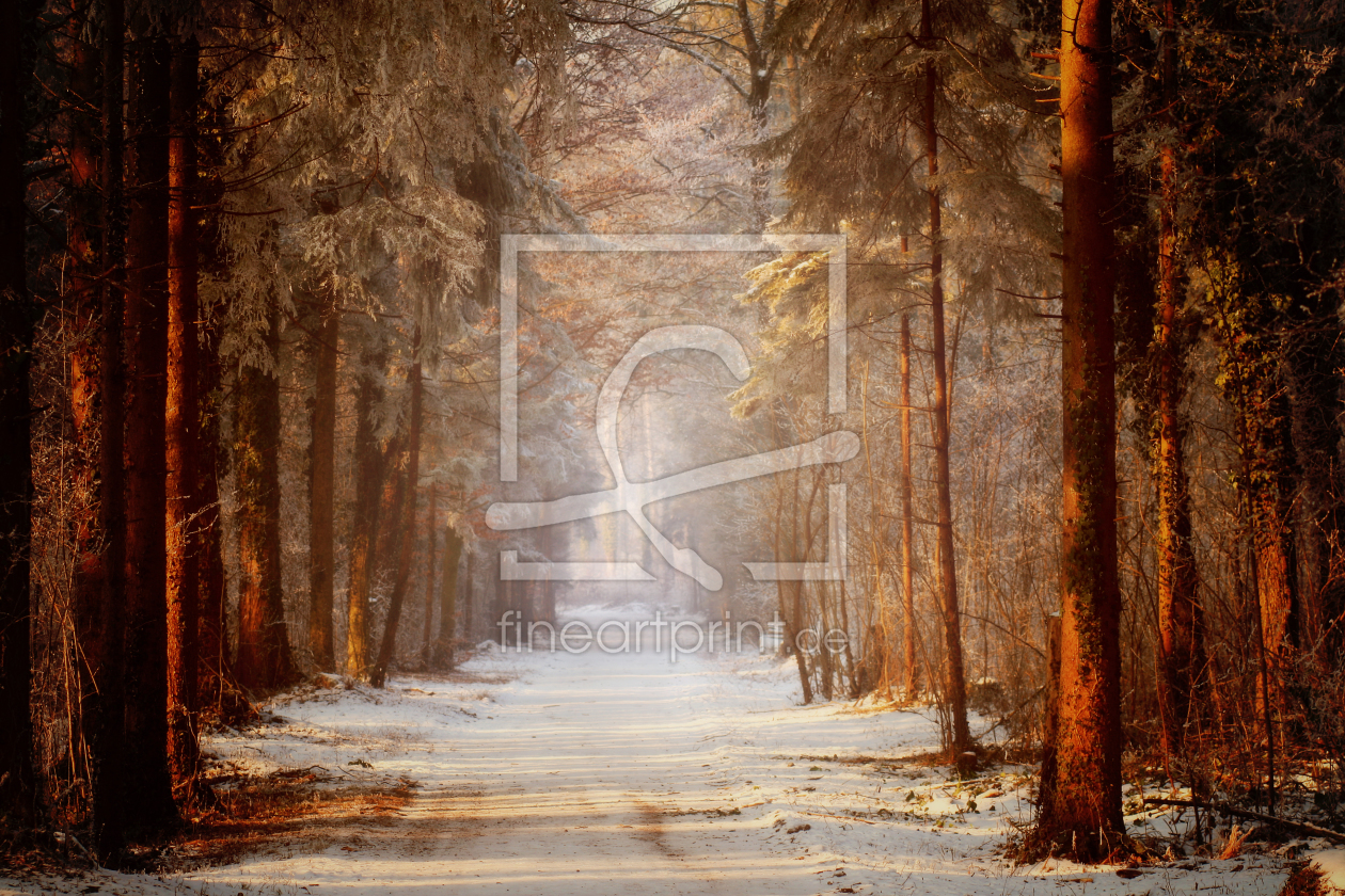 Bild-Nr.: 10328485 Wald Winteridylle erstellt von Gerhard Fechtig