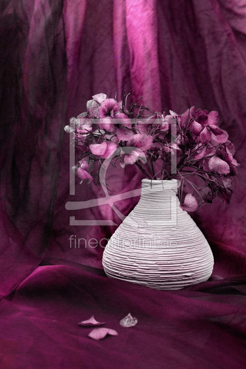 Bild-Nr.: 10461954 Hydrangea in Pink erstellt von eve-m