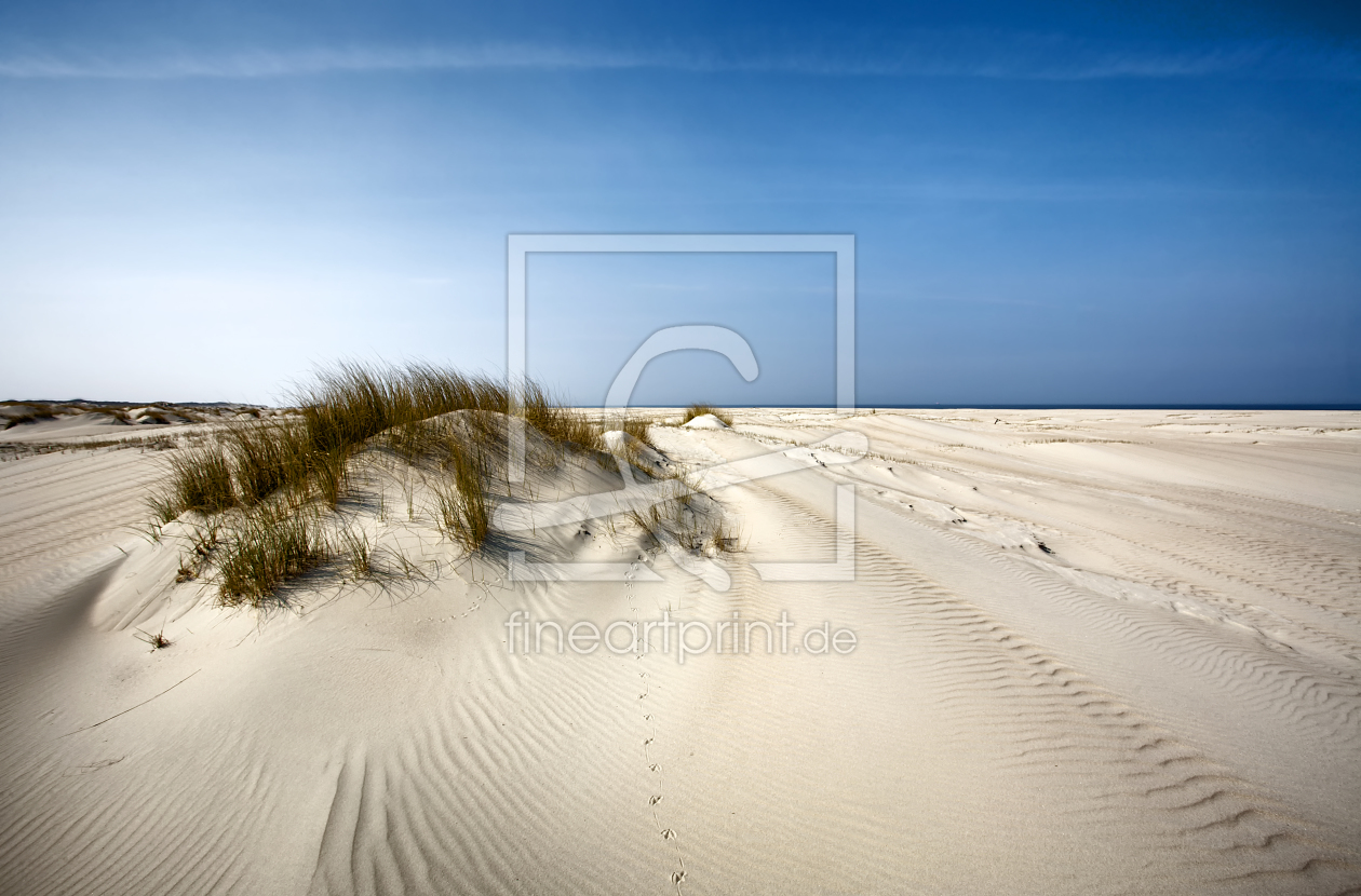 Bild-Nr.: 10514051 Spuren im Sand erstellt von Timo Geble