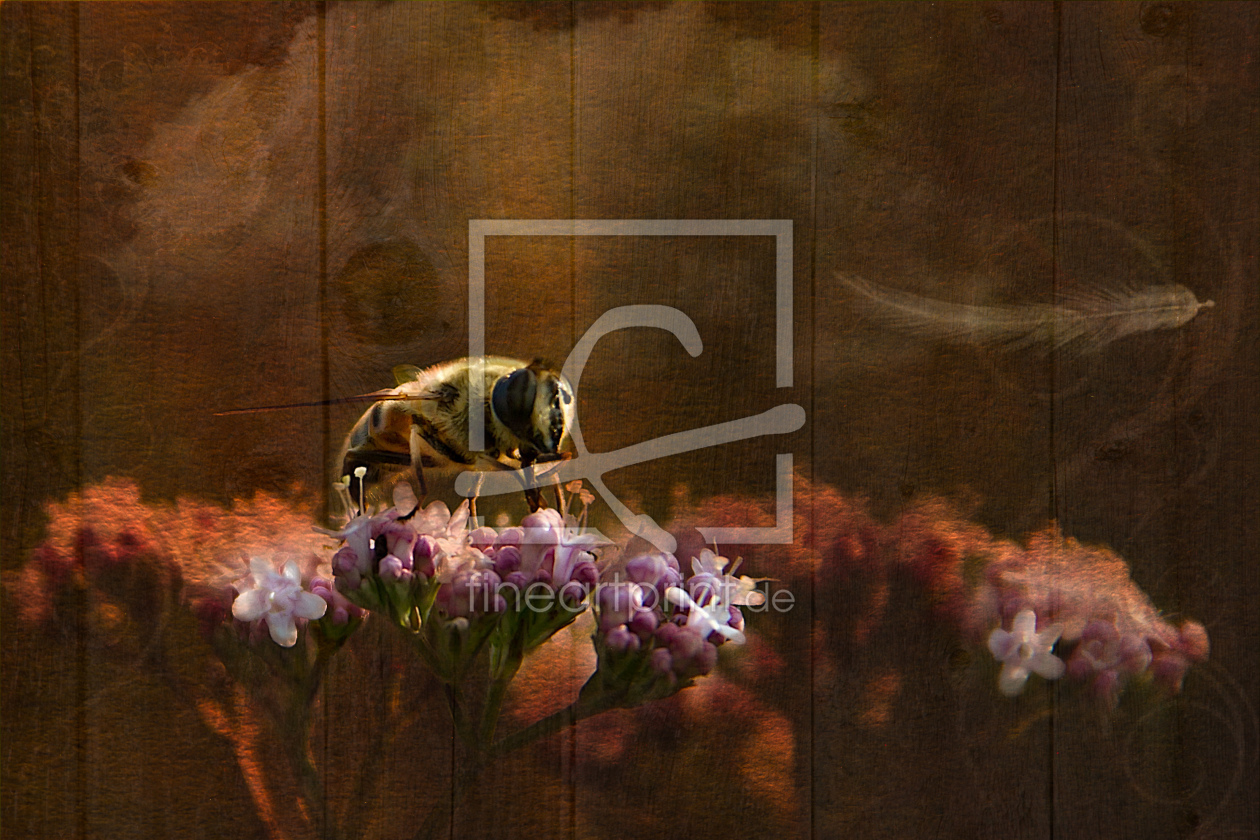 Bild-Nr.: 10532553 A Bee erstellt von wmoll