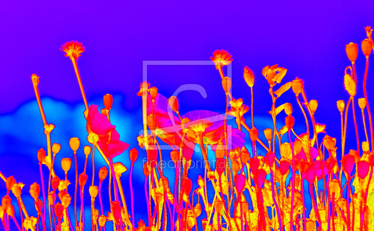 Bild-Nr.: 10554613 Neon-Blumen-Wiese erstellt von GUGIGEI
