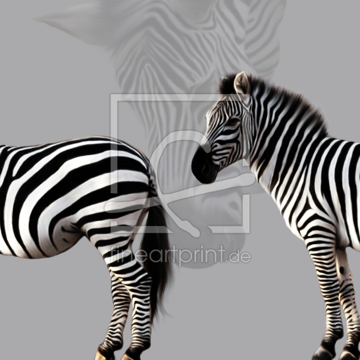 Bild-Nr.: 10595193 Zebra erstellt von Maike Straßburg