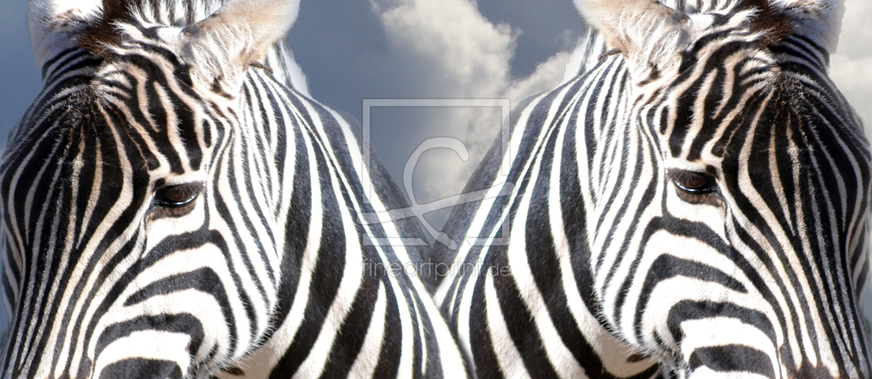 Bild-Nr.: 10682086 Zebra-Duett erstellt von Maike Straßburg