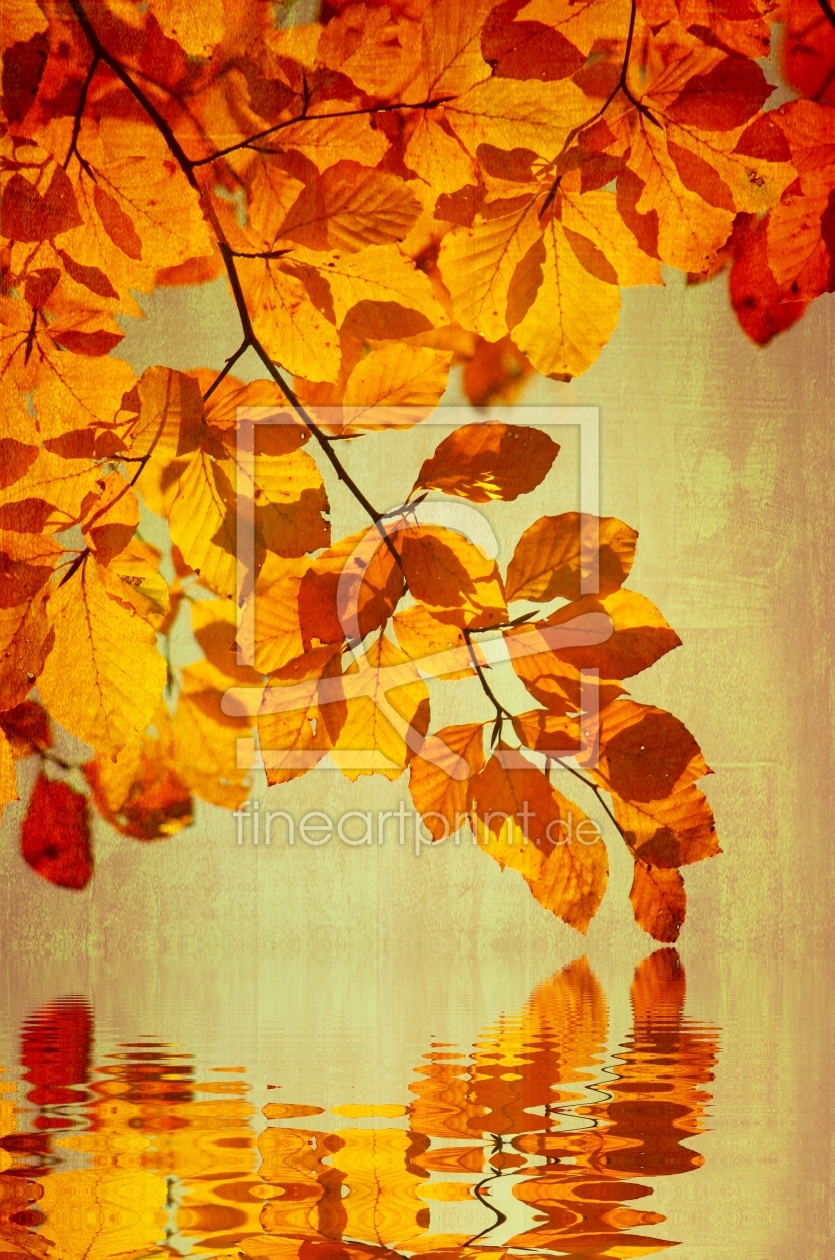 Bild-Nr.: 10728513 Herbstfarben erstellt von gabii40