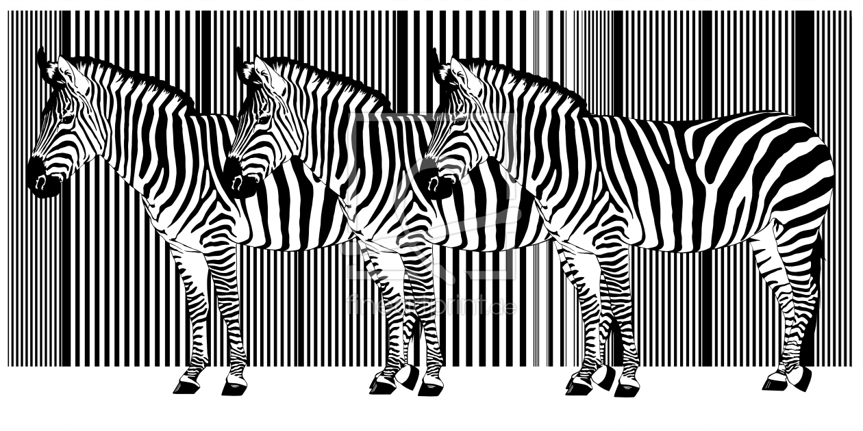 Bild-Nr.: 10775277 Zebra Barcode Dreier  erstellt von Mausopardia