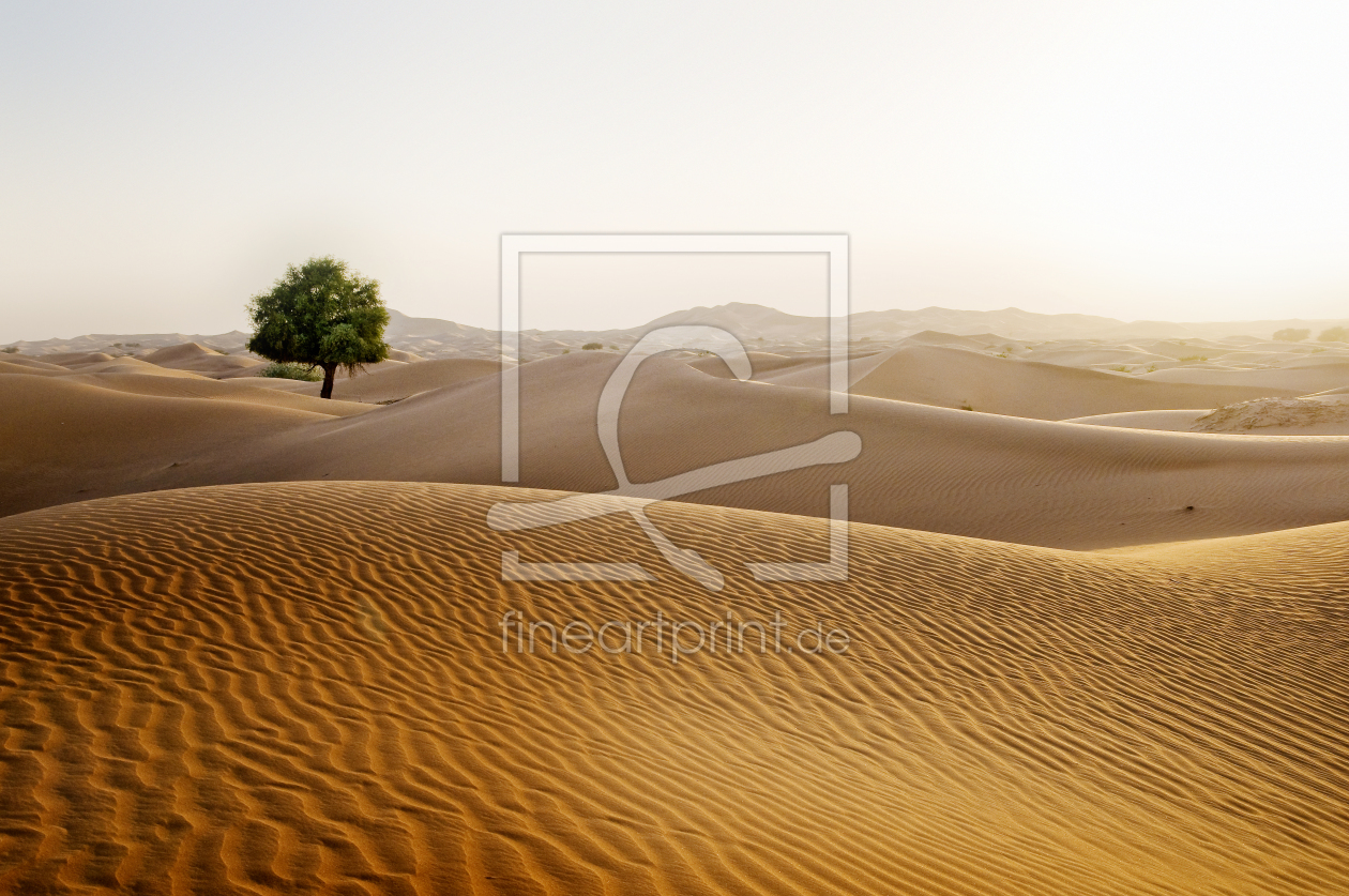 Bild-Nr.: 10820955 einsamer Baum in der Wüste erstellt von danielschoenen