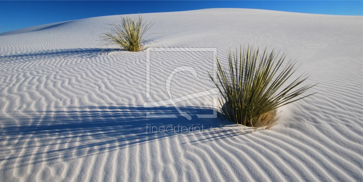 Bild-Nr.: 11042085 White Dunes - New Mexico erstellt von UCH