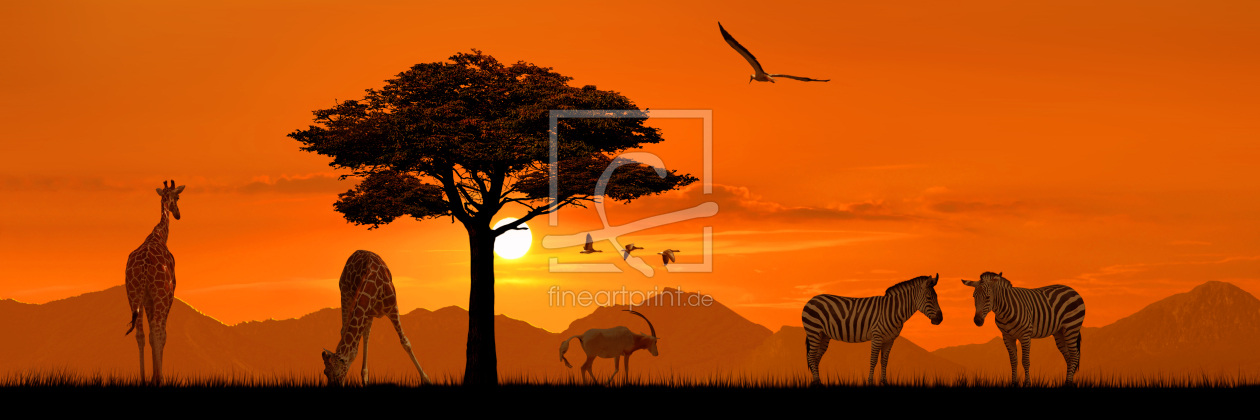 Bild-Nr.: 11056557 Romantisches Afrika in Panorama erstellt von Mausopardia