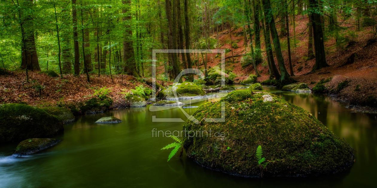 Bild-Nr.: 11343562 Bayrischer Wald erstellt von StefanPrech