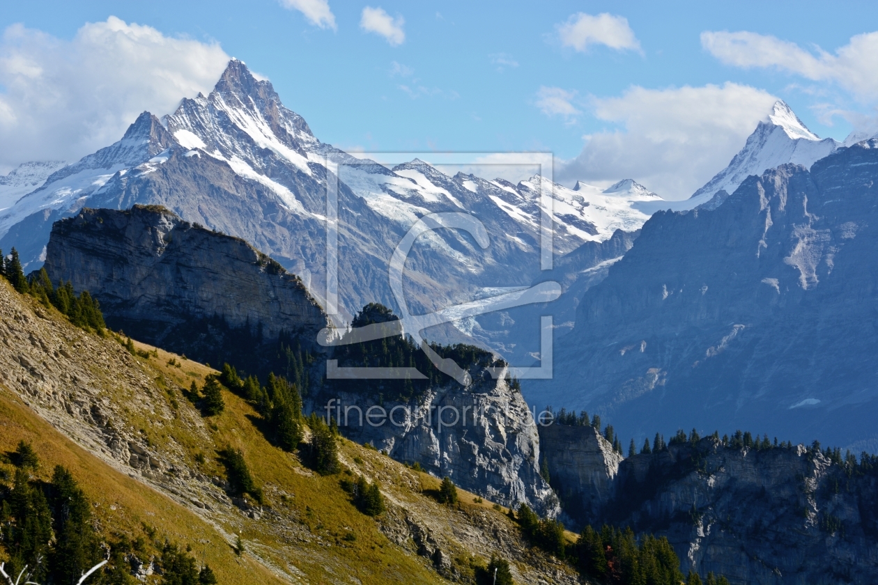 Bild-Nr.: 11370643 Schreckhorn - Finsteraarhorn erstellt von Bettina Schnittert