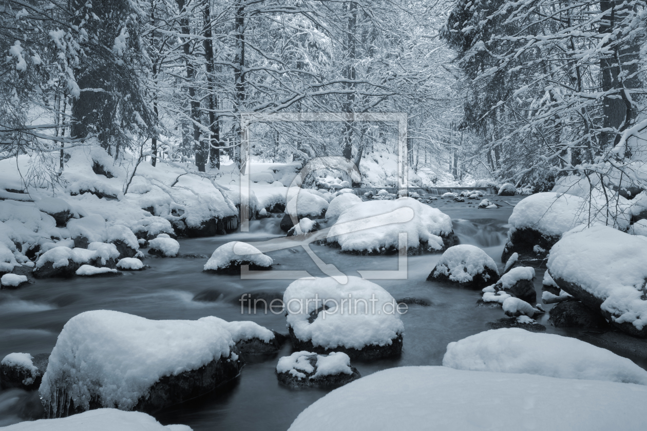 Bild-Nr.: 11441599 Winter im Harz erstellt von Steffen Gierok