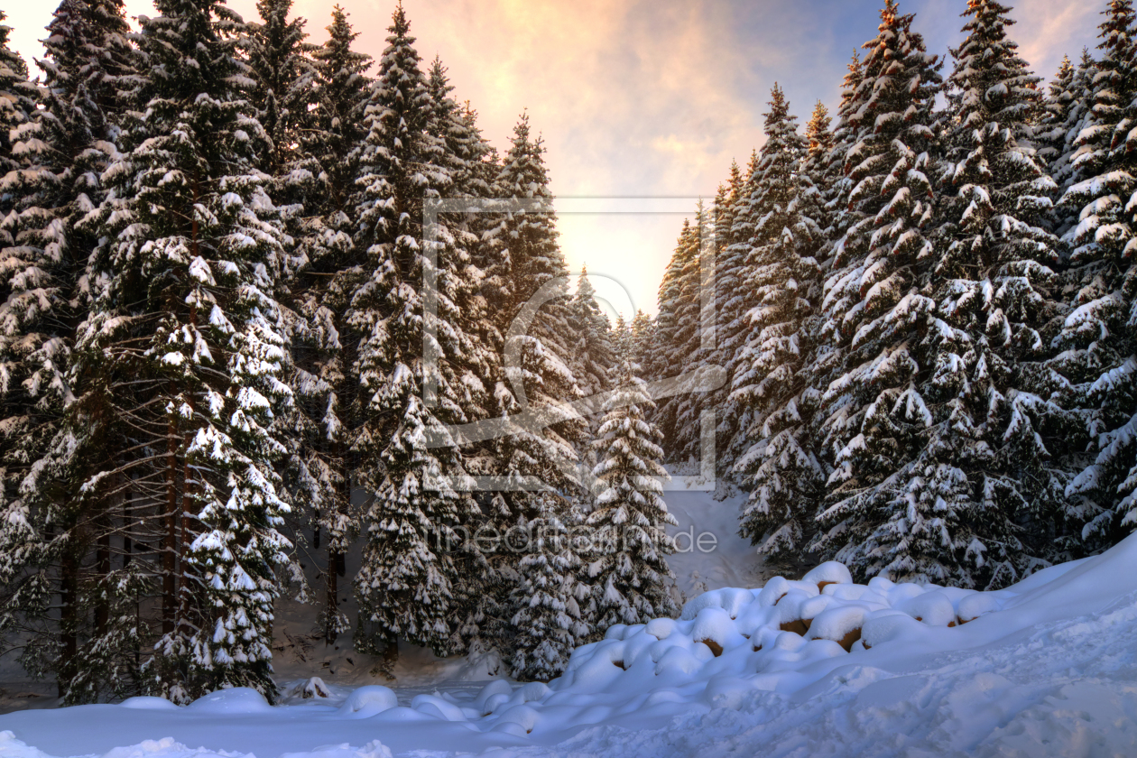 Bild-Nr.: 11441605 Winter im Harz erstellt von Steffen Gierok
