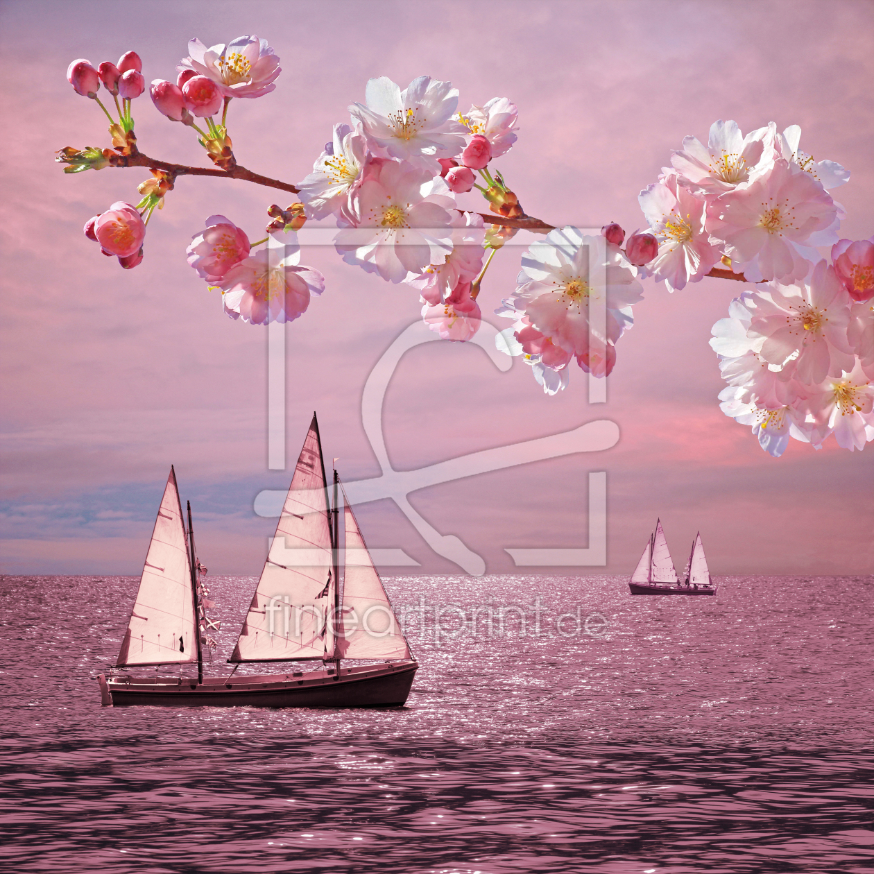 Bild-Nr.: 11577594 Pink Sunset Dream erstellt von SusaZoom