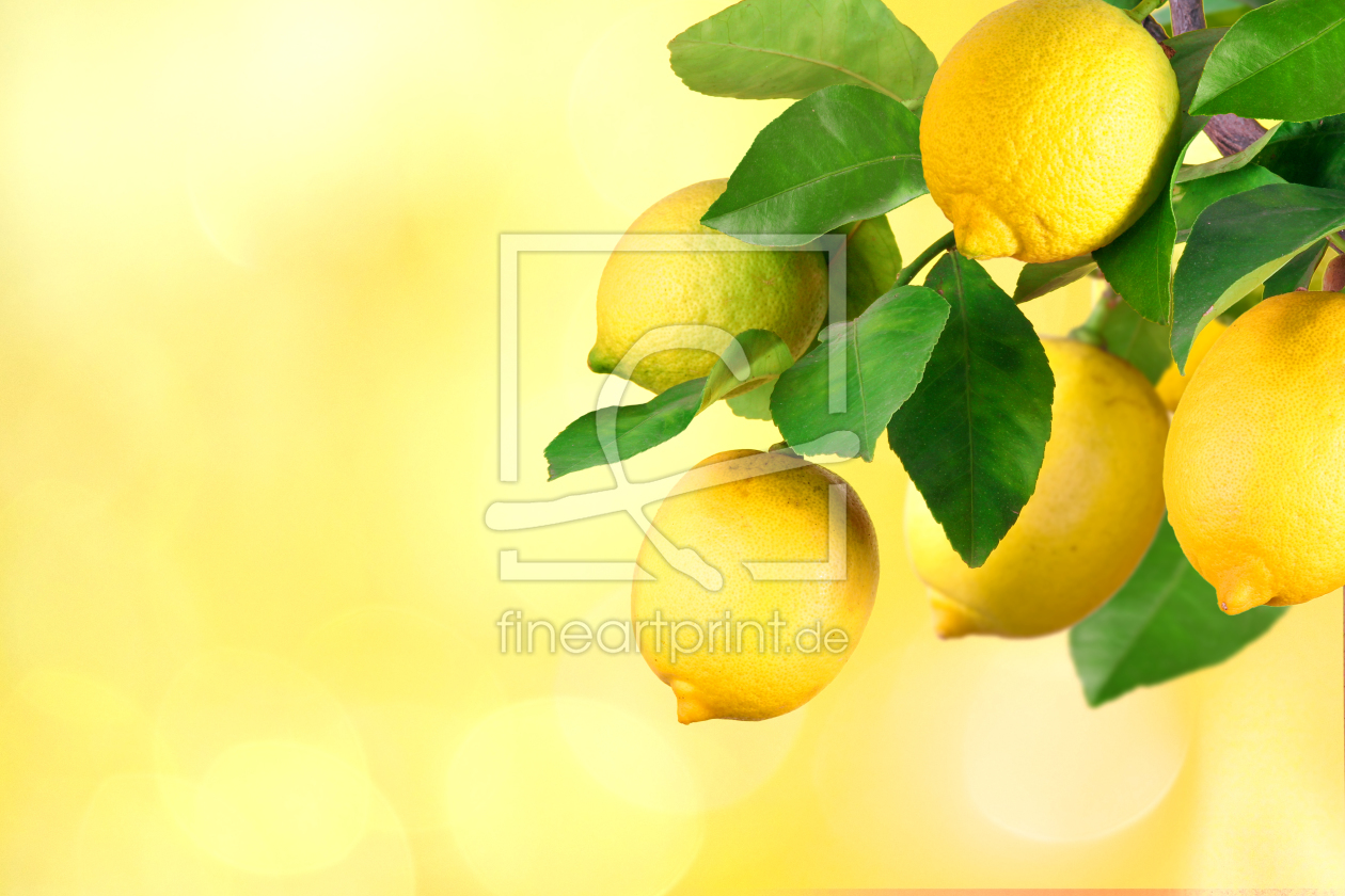 Bild-Nr.: 11588696 Zitronen erstellt von Terra-one