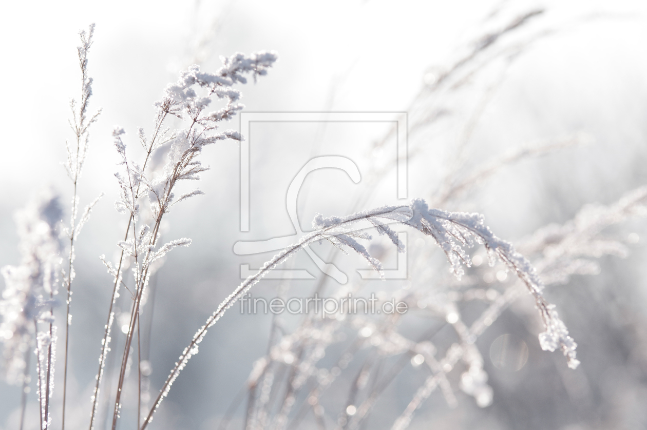 Bild-Nr.: 11675160 Winter Pastell erstellt von Tanja Riedel
