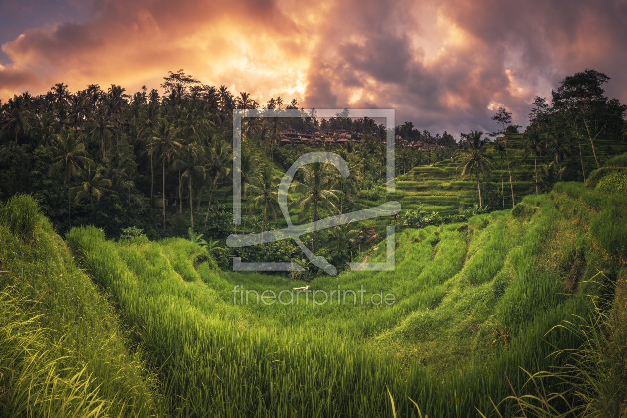 Bild-Nr.: 11759646 Bali - Ubud Tegalalan Panorama erstellt von Jean Claude Castor