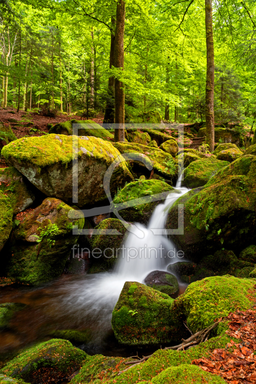 Bild-Nr.: 11775862 Wald Wasserfall Schwarzwald Wildbach erstellt von Thomas Herzog