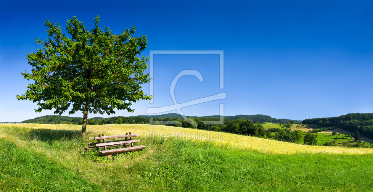 Bild-Nr.: 11779514 Grüne Landschaft im Sommer erstellt von eyetronic