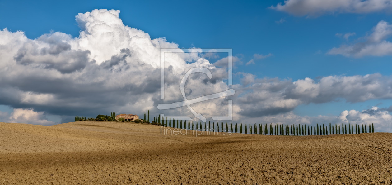 Bild-Nr.: 11828985 Herbst in der Toskana erstellt von Achim Thomae