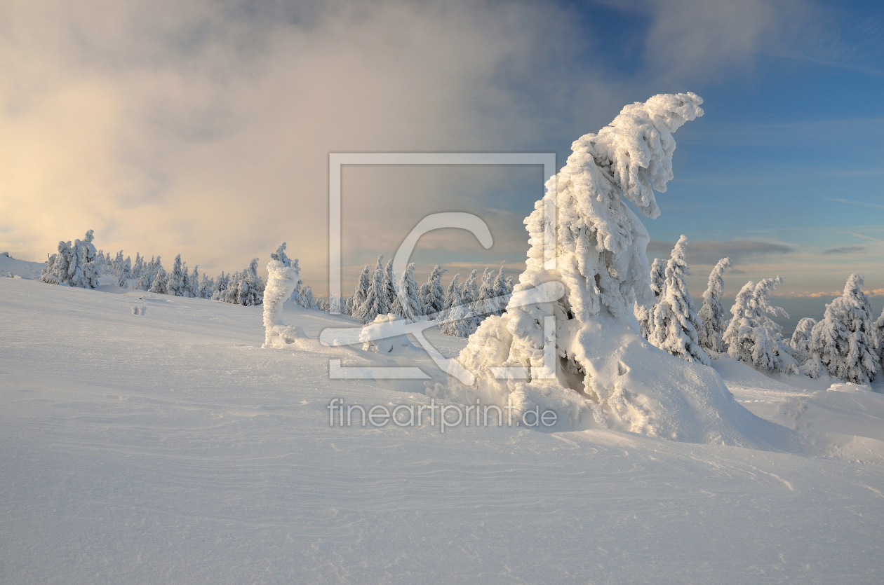 Bild-Nr.: 11830649 Winter im Harz erstellt von Christiane Dreher