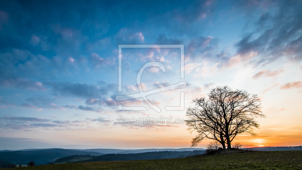 Bild-Nr.: 11831931 Sonnenuntergang mit Baum erstellt von Ritsch  Euler