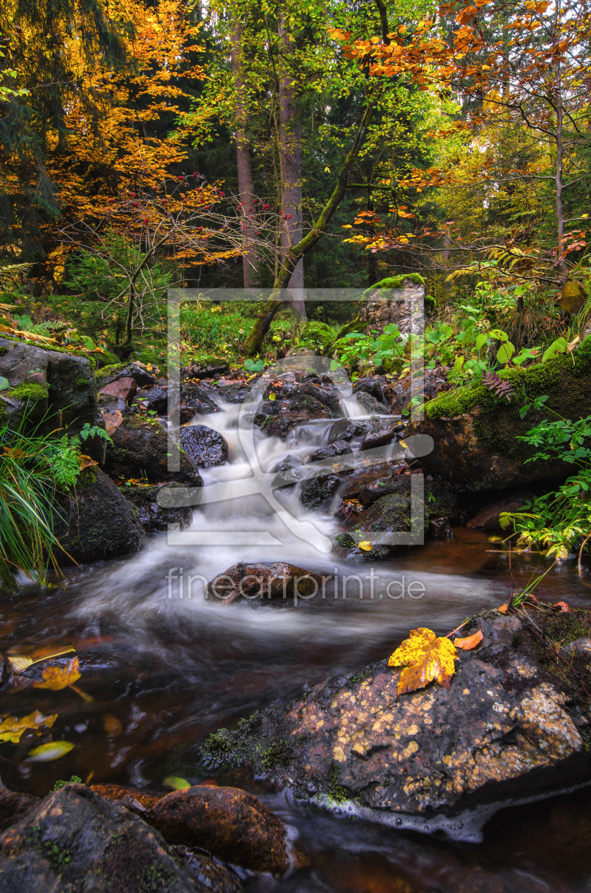 Bild-Nr.: 11852405 Herbst im Harz  erstellt von Steffen Gierok
