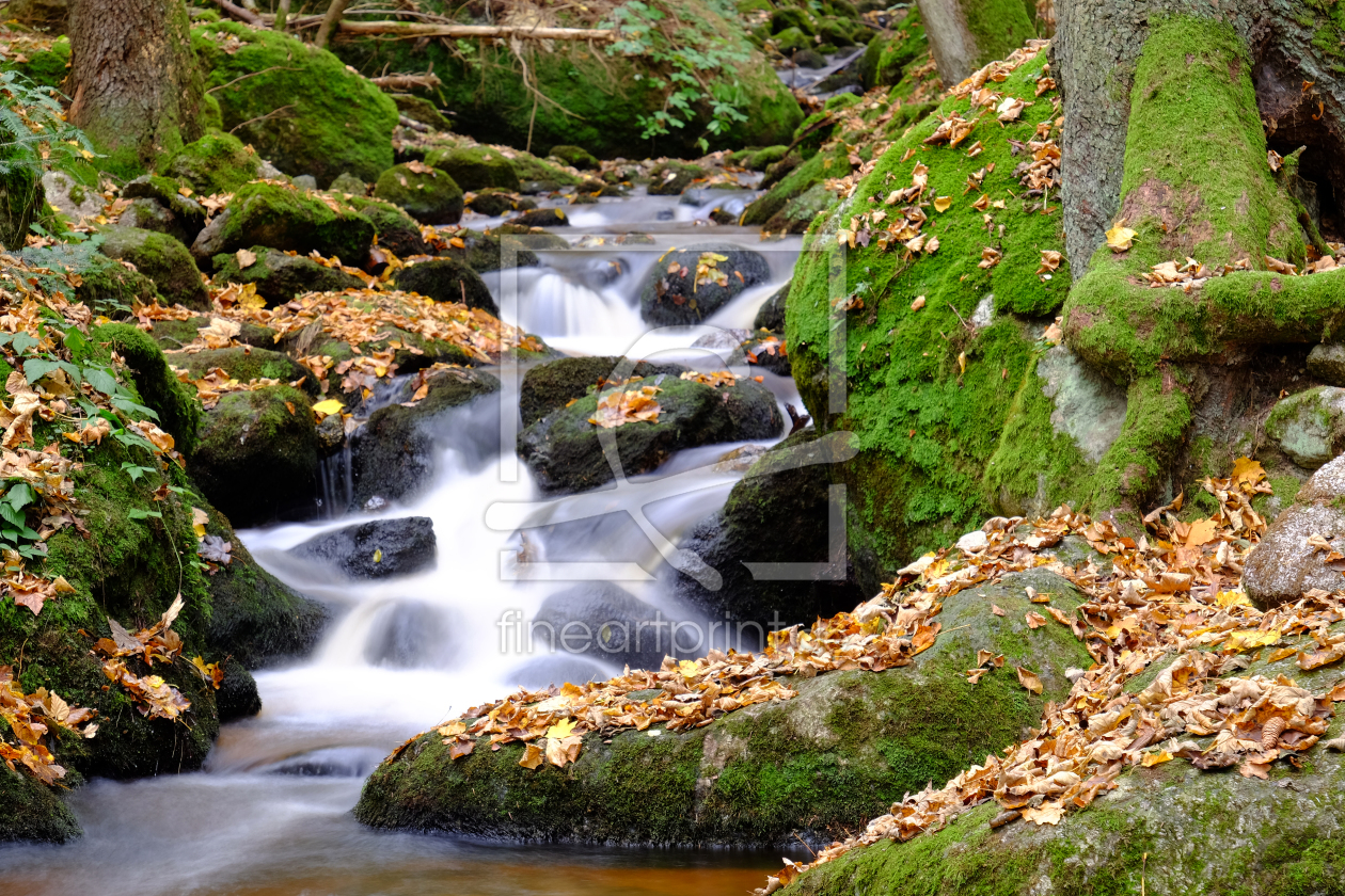 Bild-Nr.: 11854377 Ysperklamm 2 erstellt von haiderreini