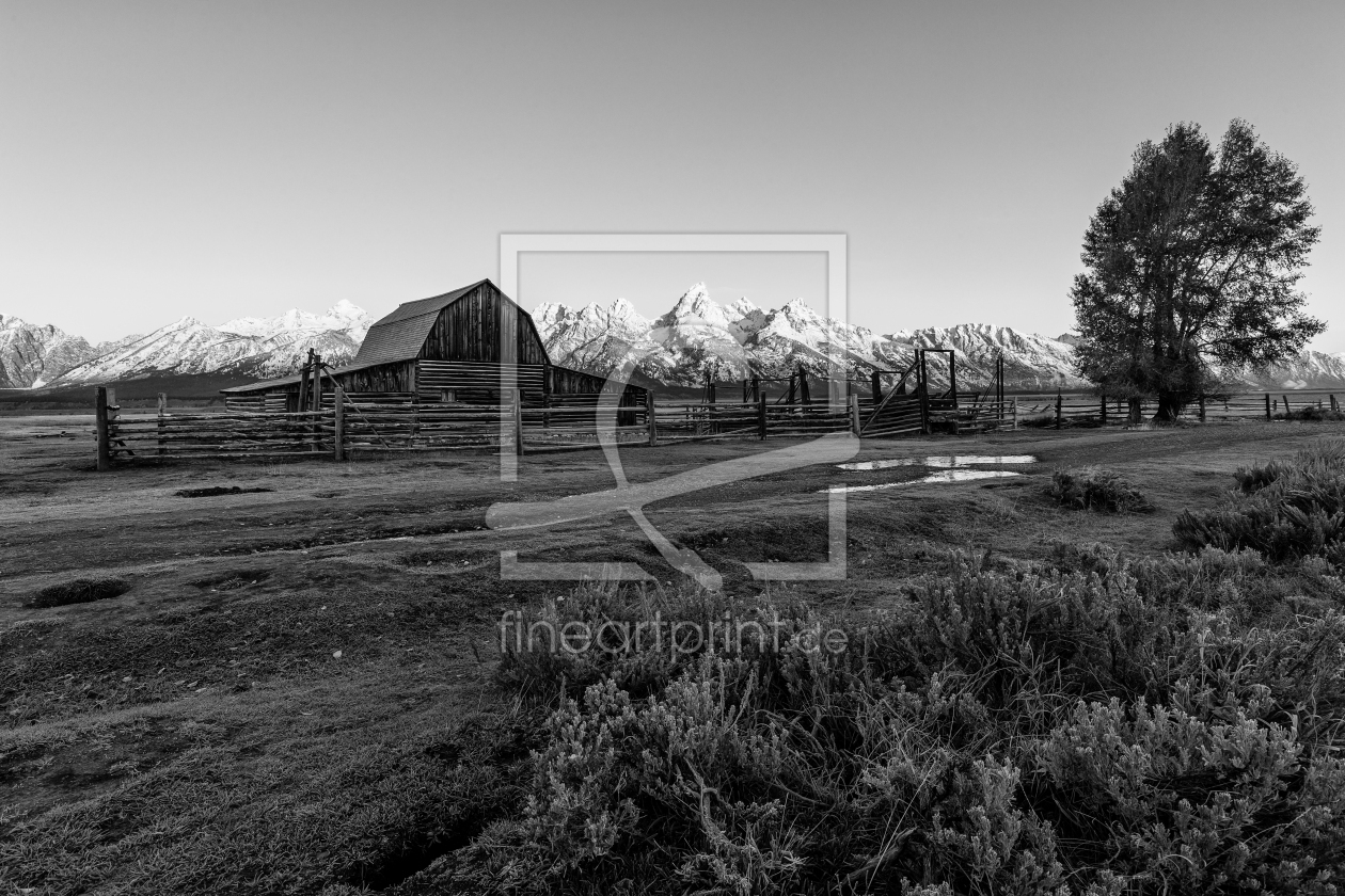 Bild-Nr.: 11854963 Mormon Row - Teton Range erstellt von TomKli