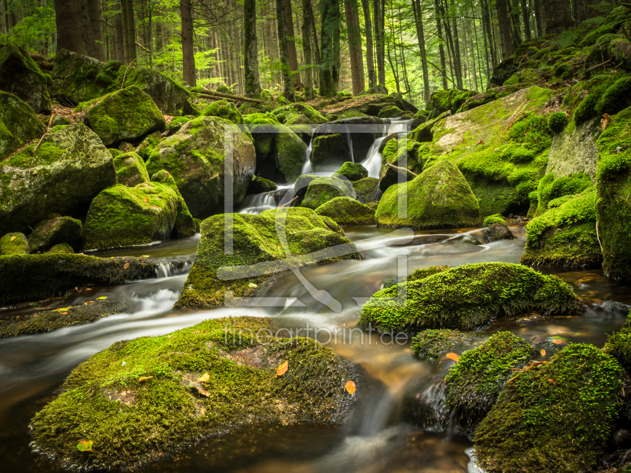 Bild-Nr.: 11866181 Wald in Bayern erstellt von luxpediation