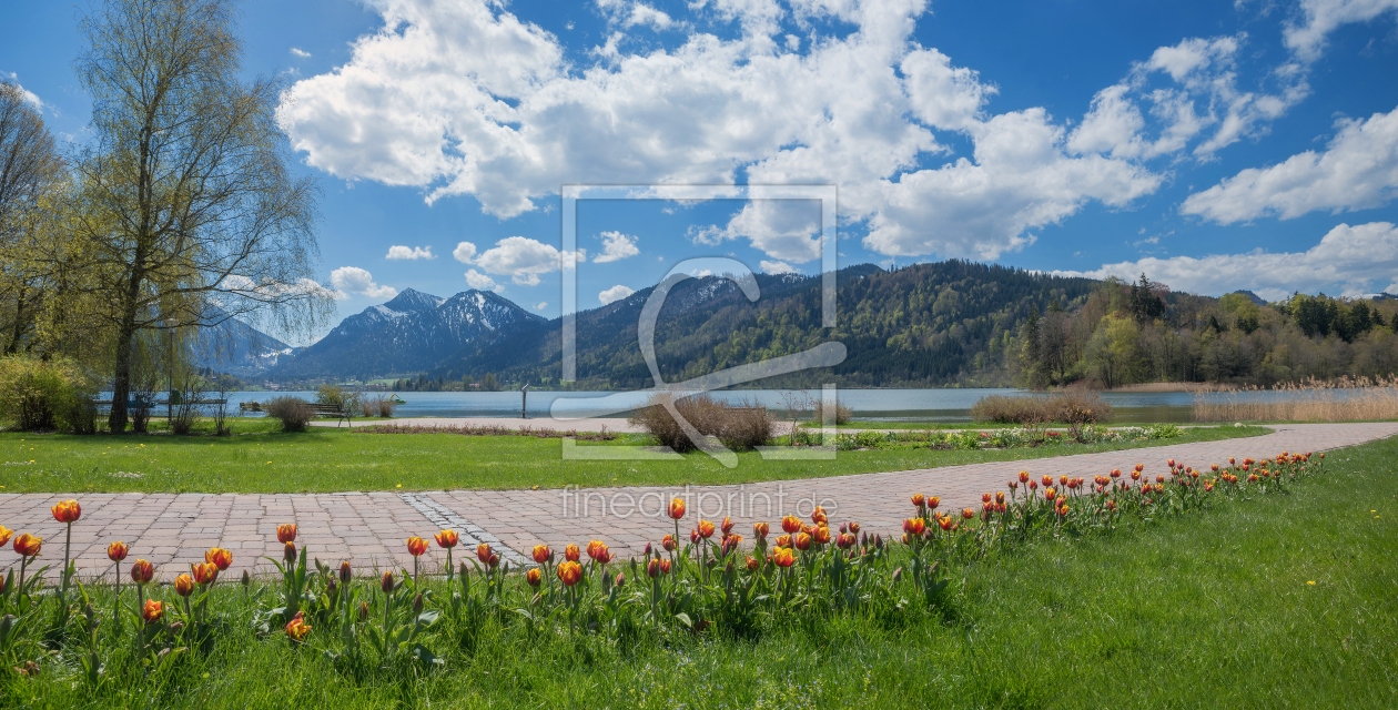Bild-Nr.: 11869320 Schliersee Frühlingspanorama II erstellt von SusaZoom