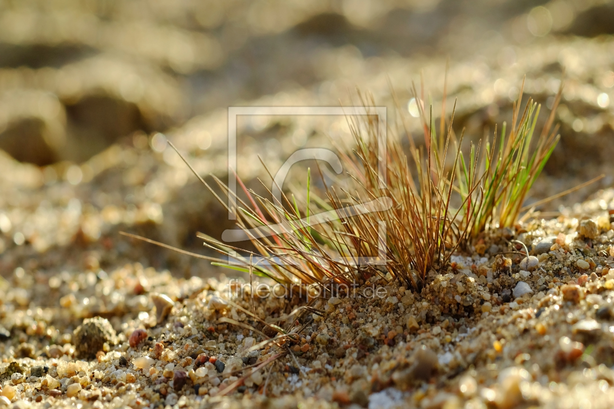 Bild-Nr.: 11869424 Grober Sand am Strand erstellt von Ostfriese