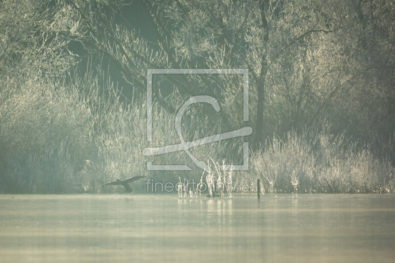 Bild-Nr.: 11873248 Frost im eisigen See erstellt von luxpediation