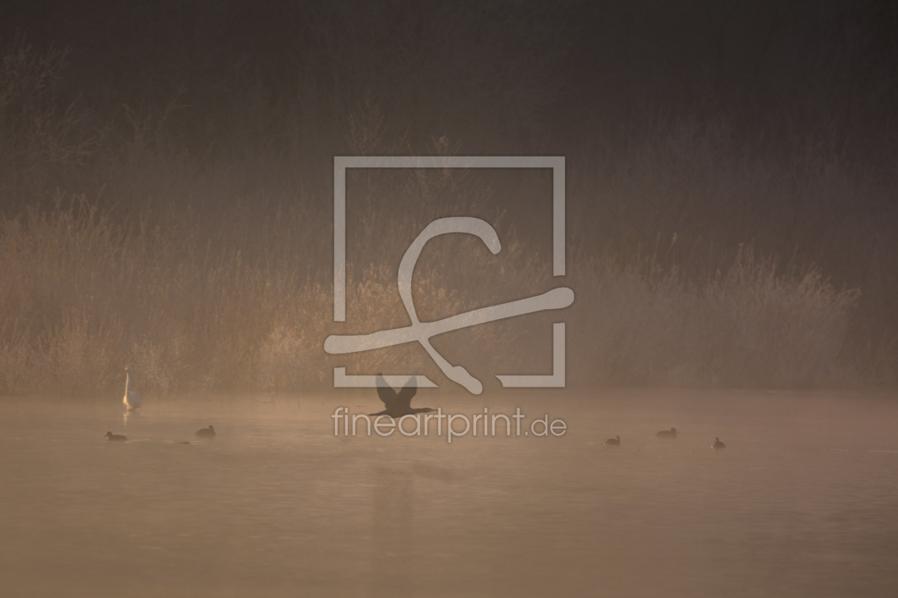 Bild-Nr.: 11878679 Nebel am See erstellt von luxpediation