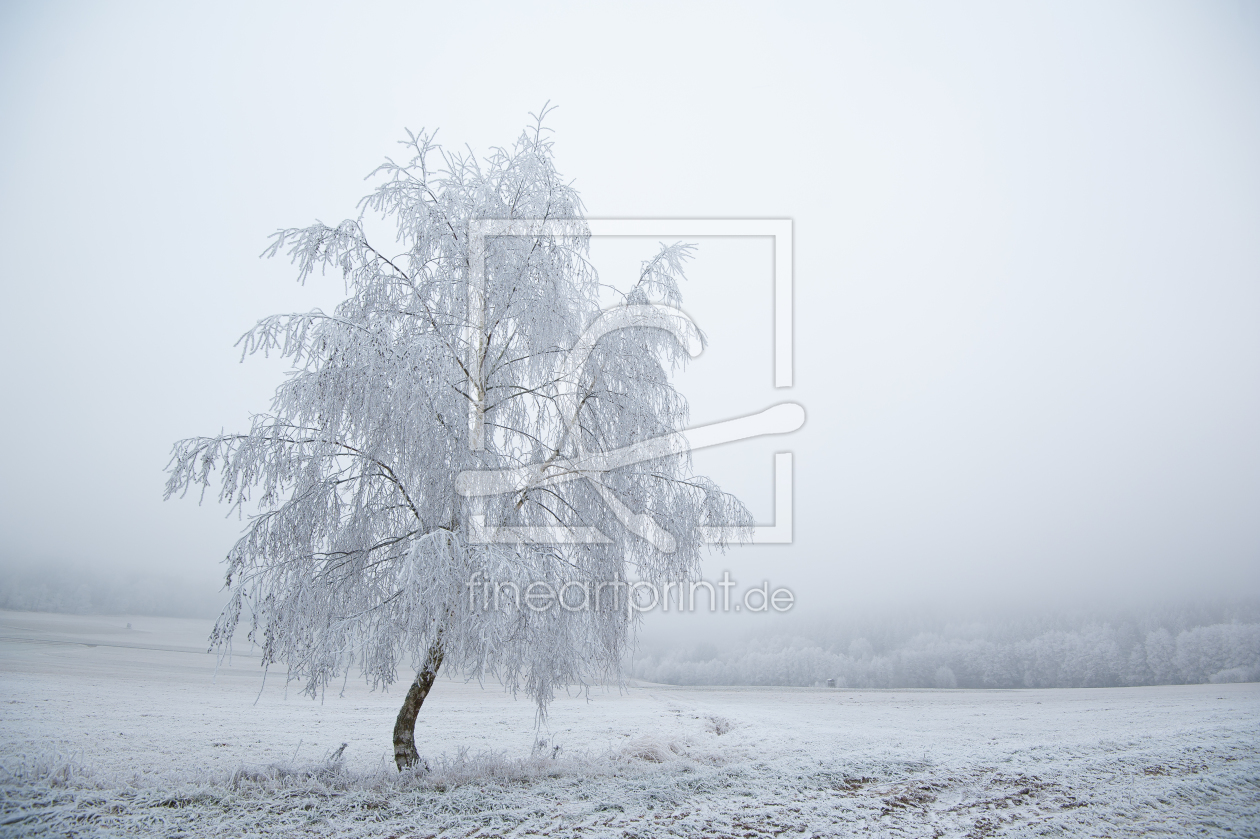 Bild-Nr.: 11882112 Winterbaum erstellt von Fototommi
