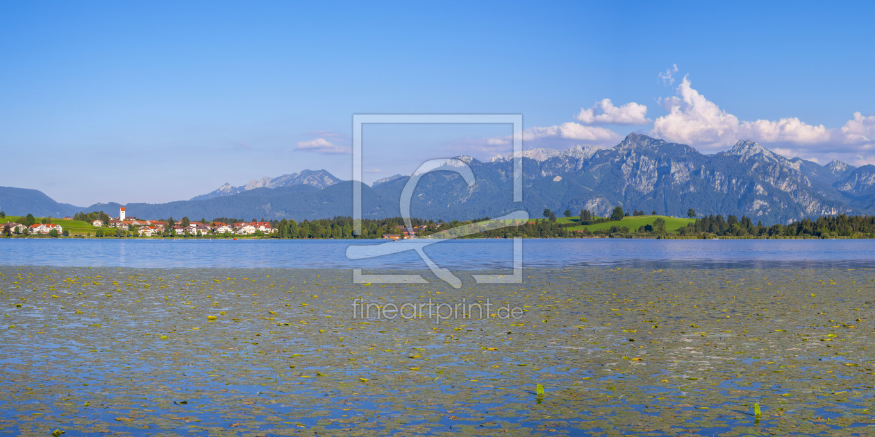 Bild-Nr.: 11889763 Hopfen am See erstellt von Walter G. Allgöwer