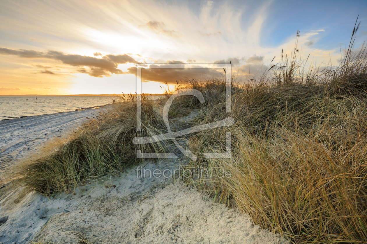 Bild-Nr.: 11890493 Goldener Glanz am Ostseestrand erstellt von Ursula Reins