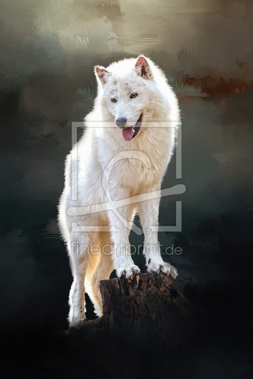 Bild-Nr.: 11919903 Arctic wolf erstellt von Simone Gatterwe