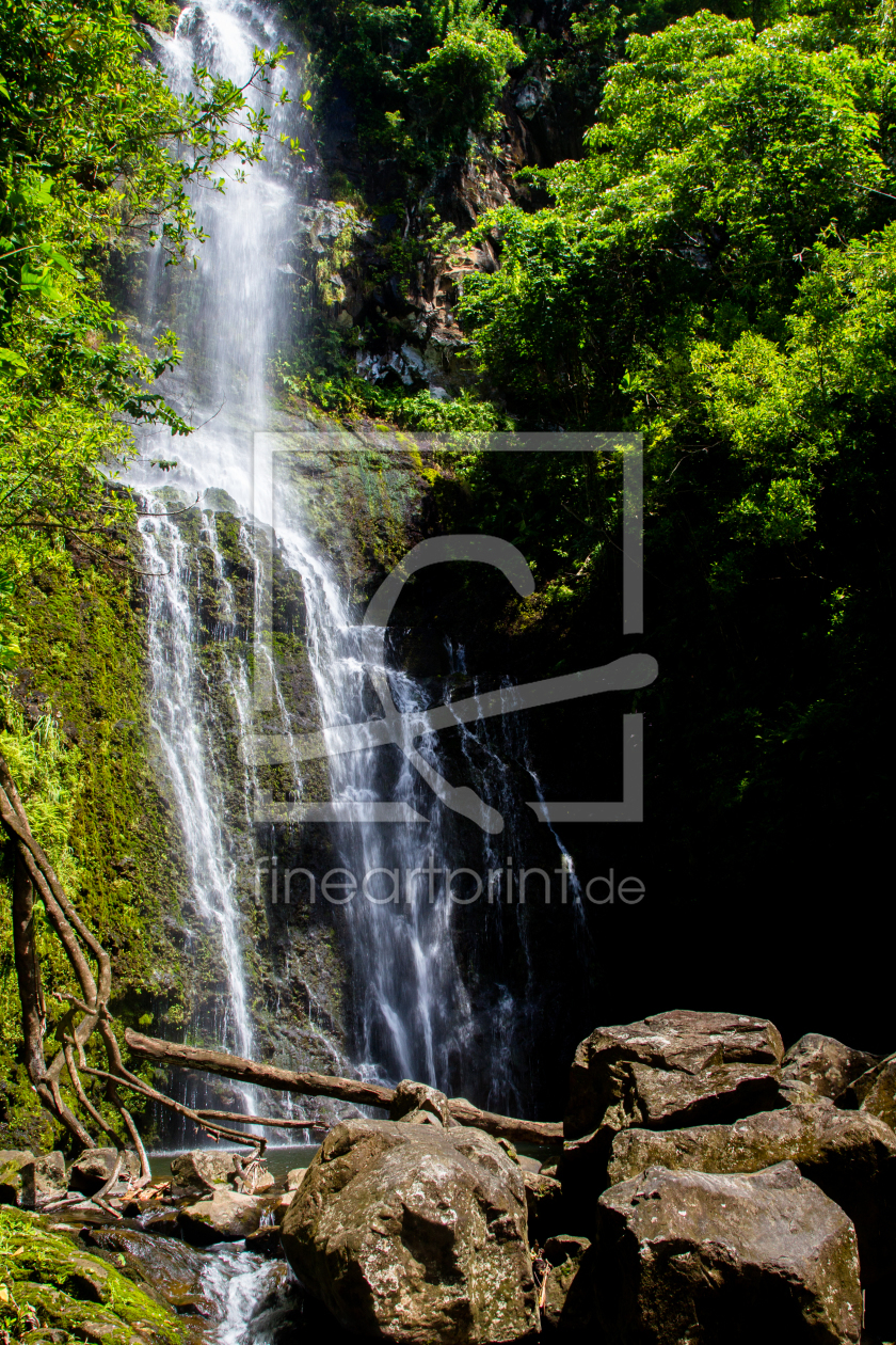Bild-Nr.: 11931838 Wasserfall auf Maui erstellt von DirkR