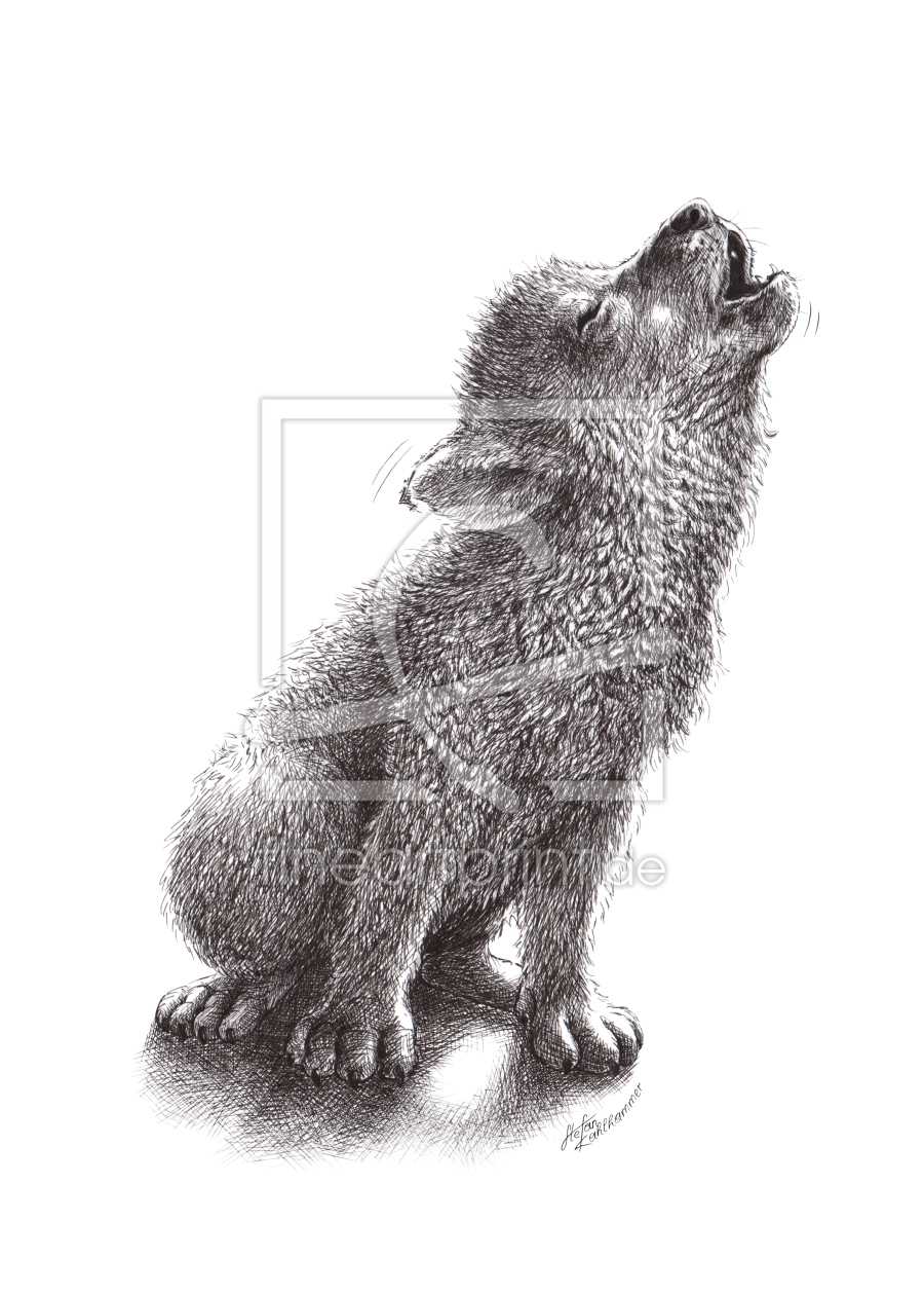 Bild-Nr.: 12011603 Kleiner Wolf erstellt von StefanKahlhammer
