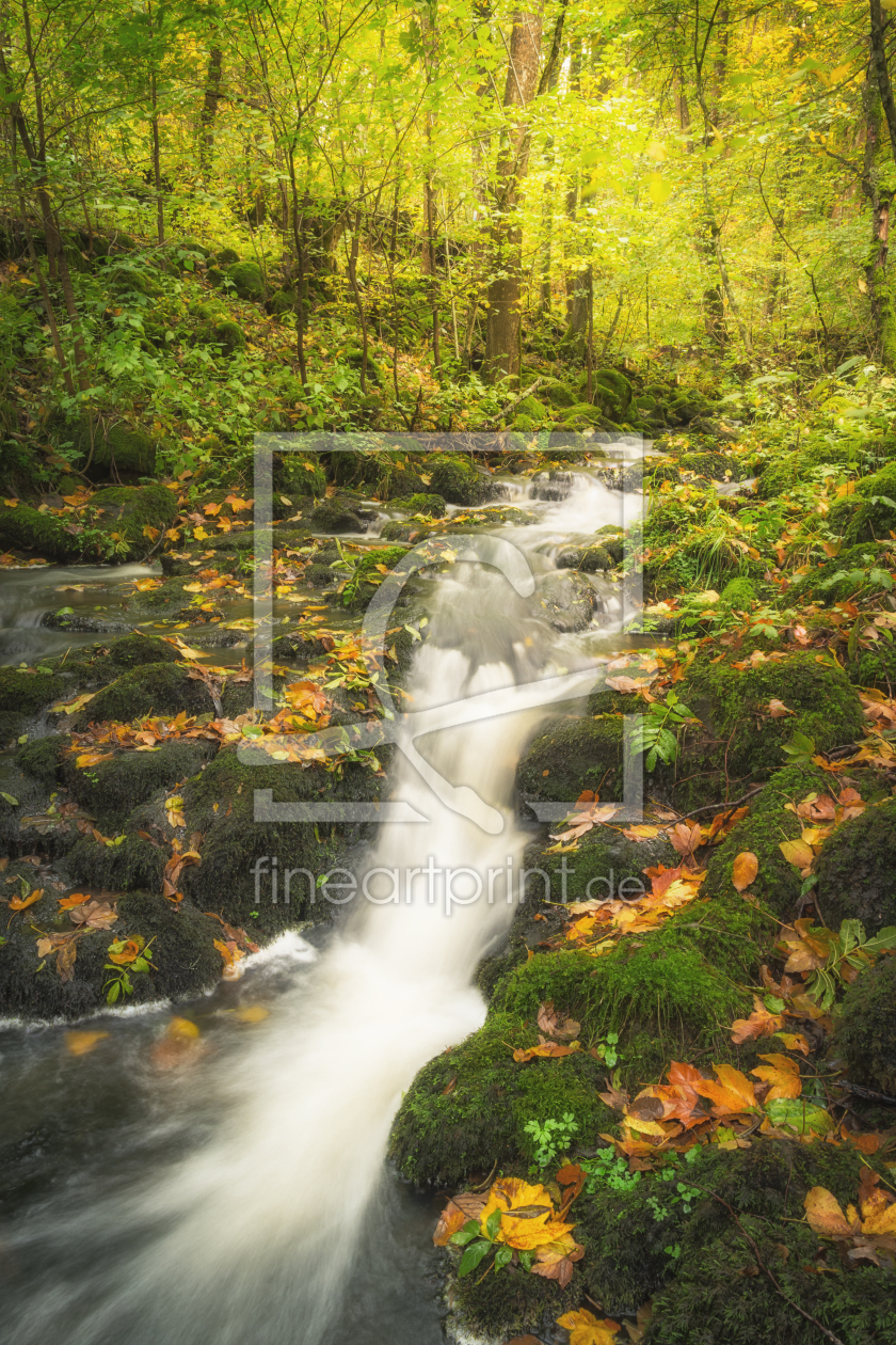 Bild-Nr.: 12112932 Bach im Herbstwald erstellt von luxpediation