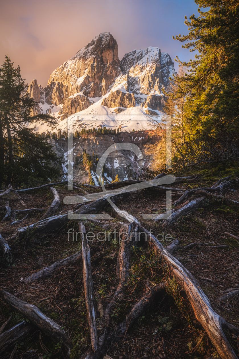 Bild-Nr.: 12740055 Dolomiten Peitlerkofel im ersten Licht erstellt von Jean Claude Castor