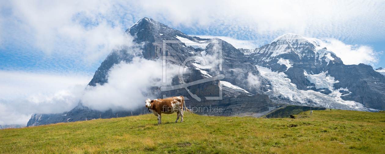 Bild-Nr.: 12798232 Gescheckte Kuh vor der Eiger Nordwand erstellt von SusaZoom