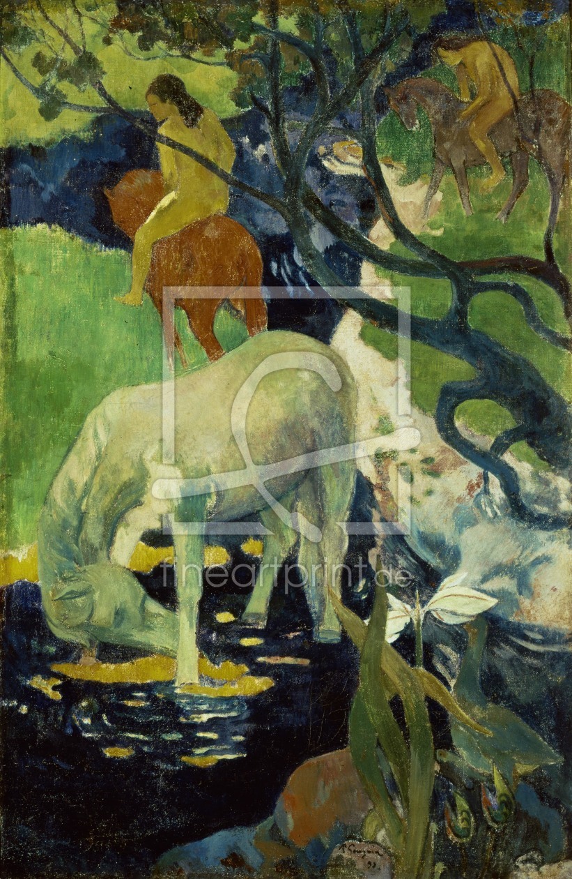 Bild-Nr.: 30000630 Gauguin / The white horse / 1893 erstellt von Gauguin, Paul