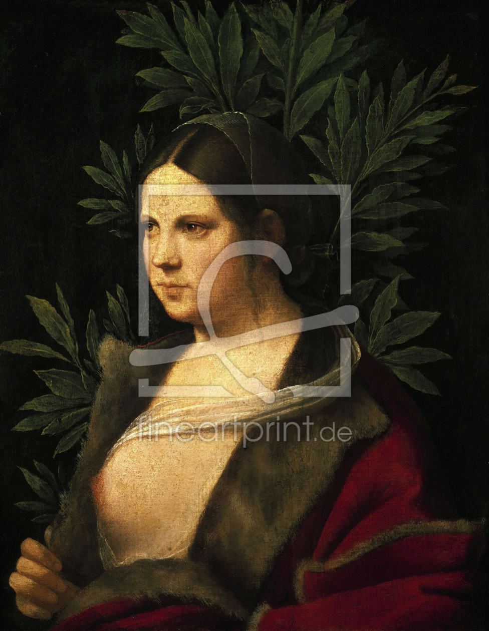 Bild-Nr.: 30000728 Petrarca - Laura/Paint.by Giorgione/1506 erstellt von Giorgione (Giorgio da Castelfranco | Barbarelli)
