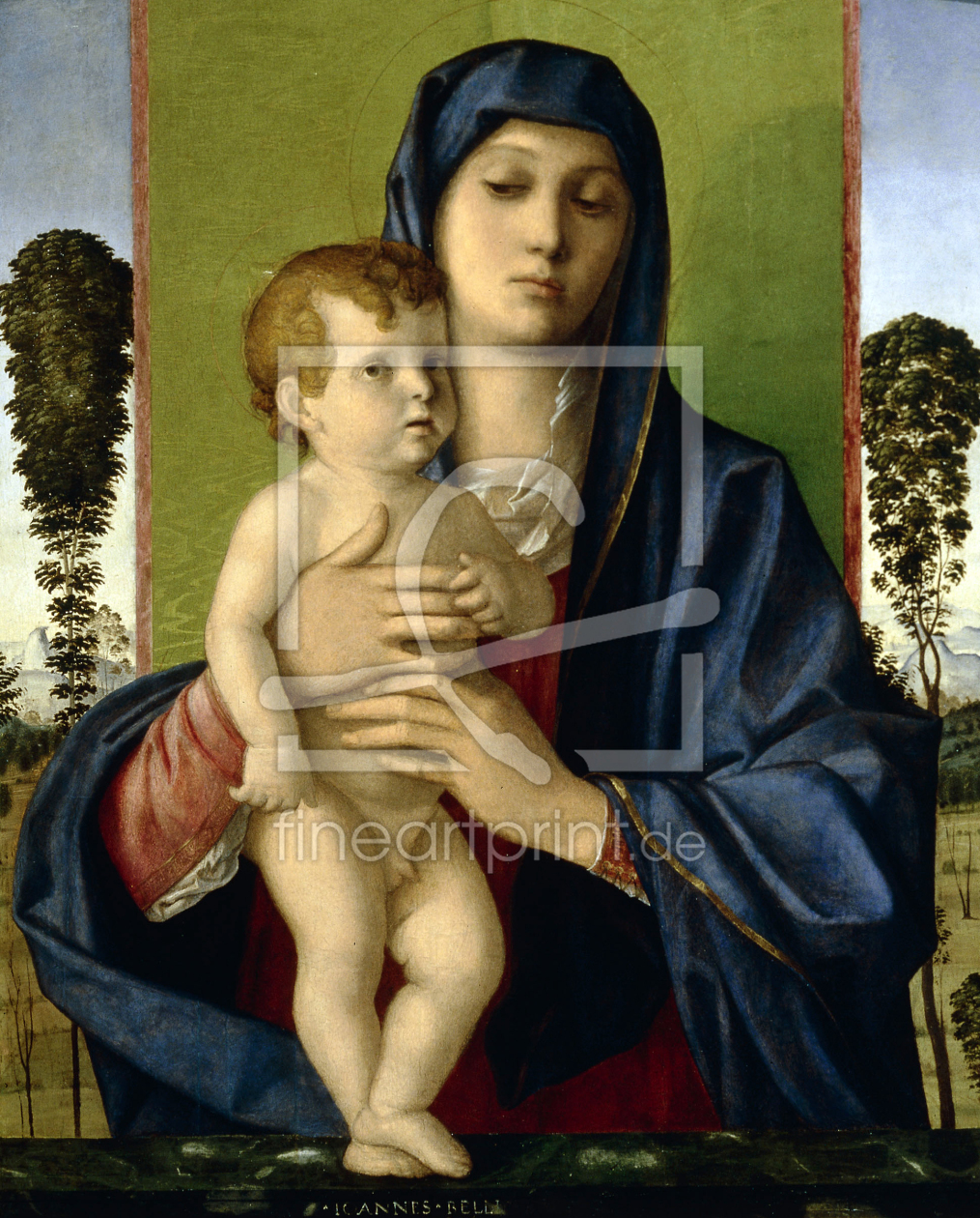 Bild-Nr.: 30001982 Giovanni Bellini / Madonna d.Alberetti erstellt von Bellini, Giovanni