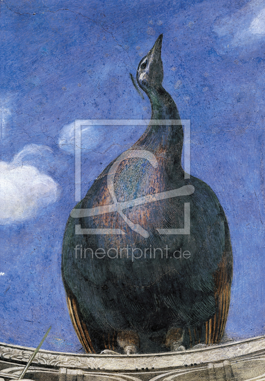 Bild-Nr.: 30002388 A.Mantegna /Camera degli Sposi, Peacock erstellt von Mantegna, Andrea