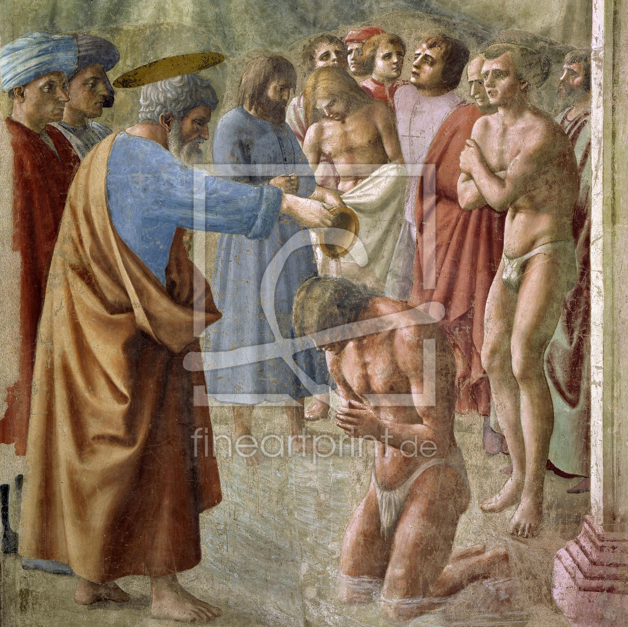 Bild-Nr.: 30002444 Masaccio / Peter baptises the Neophyte erstellt von Masaccio (Tommaso di Giovanni di Simone Guidi)