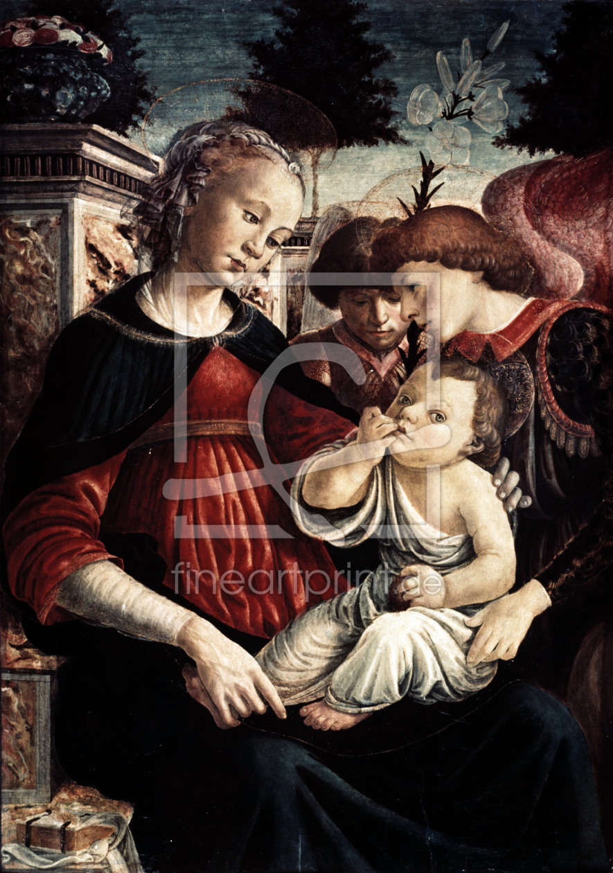 Bild-Nr.: 30002694 S.Botticelli, Maria mit Kind u.Engeln erstellt von Botticelli, Sandro
